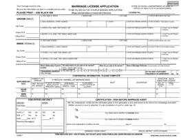 Free Hawaii Marriage Licens Application Template